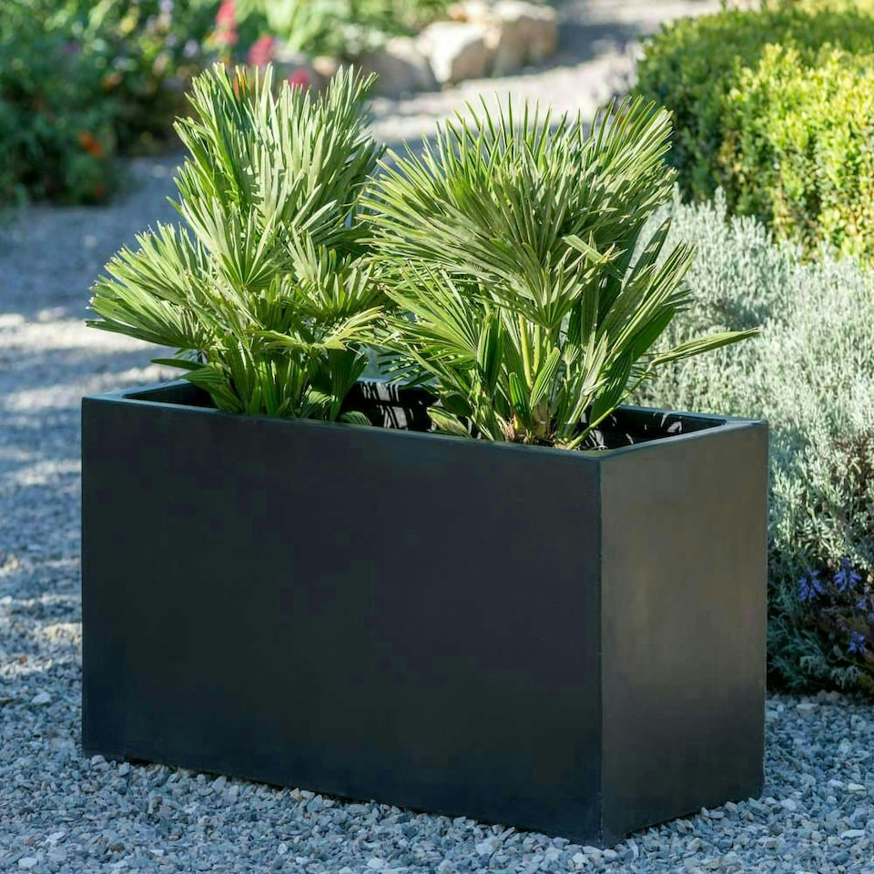 image 1 of Primrose 100cm Polystone Large Black Trough Planter
