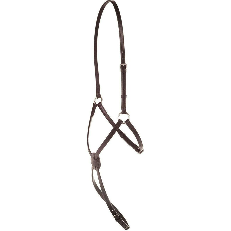 Kincade Leather Grackle Noseband II - Brown - Full