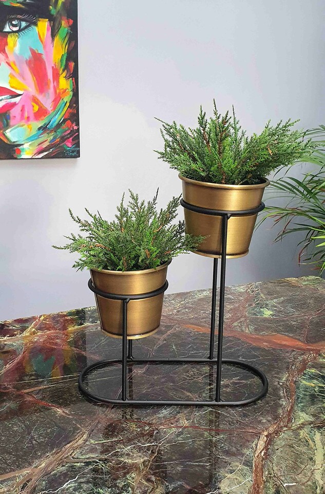 image 1 of 2in1 Gold Succulent Plant Pot