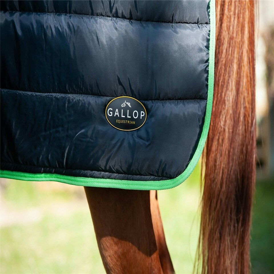 image 1 of Gallop Equestrian Trojan Dual 300 Stable Rug & Neck Set Clear | Size: 5ft 9
Colour: Black