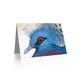 image 2 of Animal Photo Bird Victoria Crowned Pigeon Birthday Card