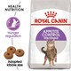 image 1 of Royal Canin Appetite Control Sterilised Adult Dry Cat Food - 2 kg | Multi | 2kg | Lamb, Rice, Vegetables | 1