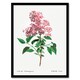 image 1 of Redoute Framed Wall Art Chinese Lilac Vintage Floral Illustration Home Décor