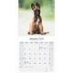 image 3 of Belgian Shepherd Dog 2026 Calendar | Square Wall Calendar | Dog Breed Gift | Plastic Free Packaging | by Avonside Publishing