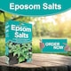 image 10 of Vitax Epsom Salts 1.25kg Fast Acting Magnesium Feed for Gardens & Houseplants