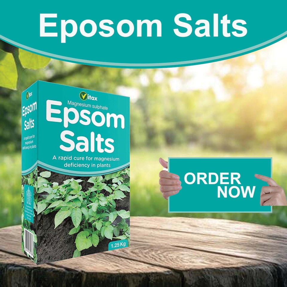image 1 of Vitax Epsom Salts 1.25kg Fast Acting Magnesium Feed for Gardens & Houseplants