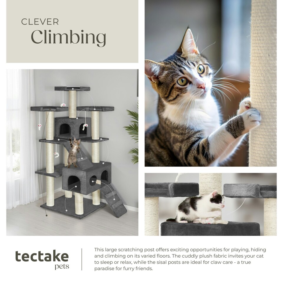image 1 of Cat Tree Knuti - 186 cm, sisal cat scratching post - Anthracite