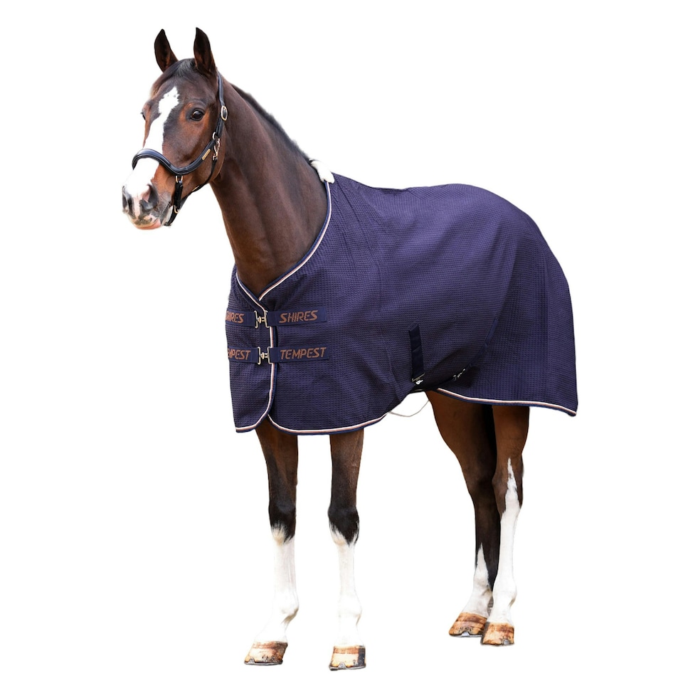 image 1 of Tempest Original Waffle Horse Rug - Navy - 69in