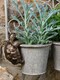 image 2 of Tortoise Plant Pot Hanger - L11 x W6 x H7.5 cm | Bronze