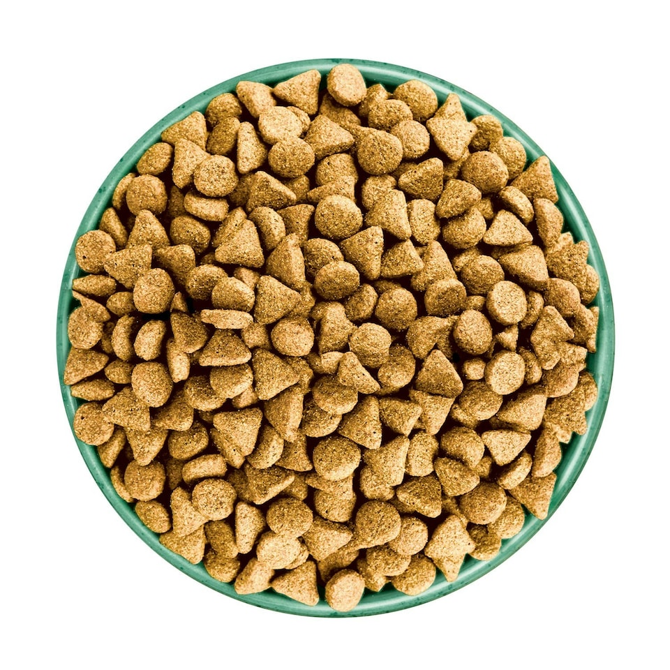 image 1 of James Wellbeloved Superfoods Adult Dry Dog Food Lamb with Sweet Potato & Chia 4.5kg