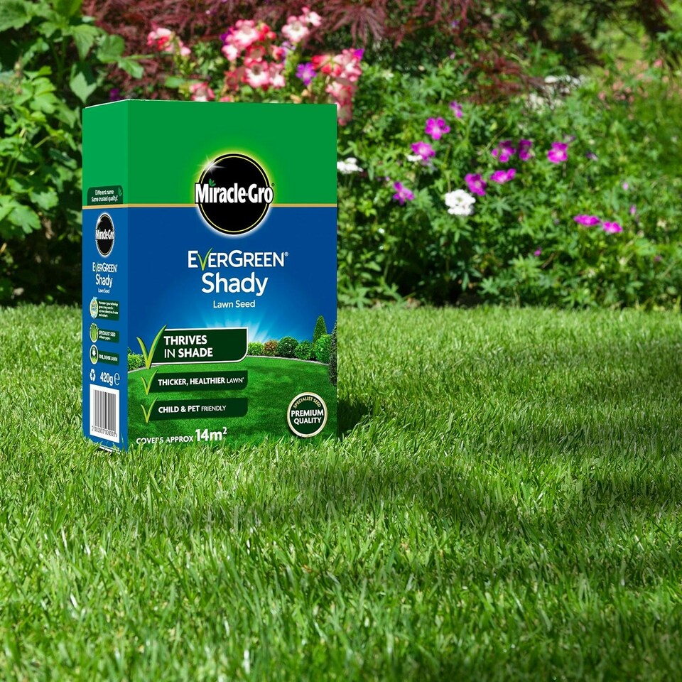 image 1 of Miracle-Gro® EverGreen® Shady Lawn Seed