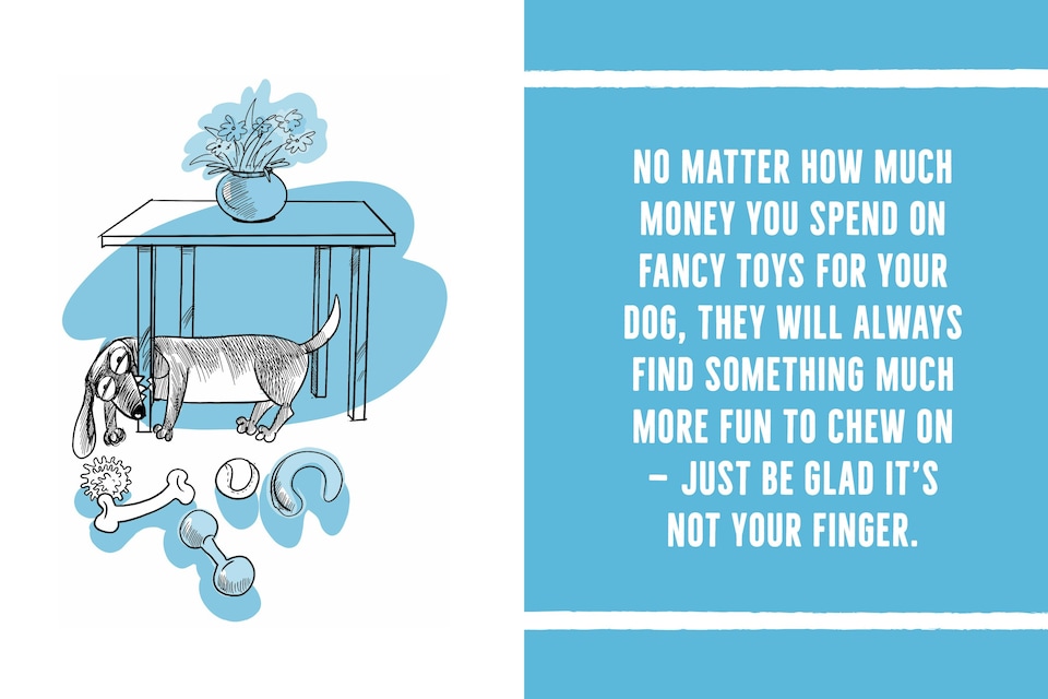 image 1 of The Dog Owner's Survival Guide