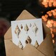 image 3 of Vintage Marine Life Art Card Northen Sea Mollusk Sea Shells