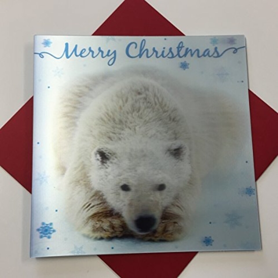 image 1 of 3D Holographic Up Close POLAR BEAR Merry Christmas Greeting Card