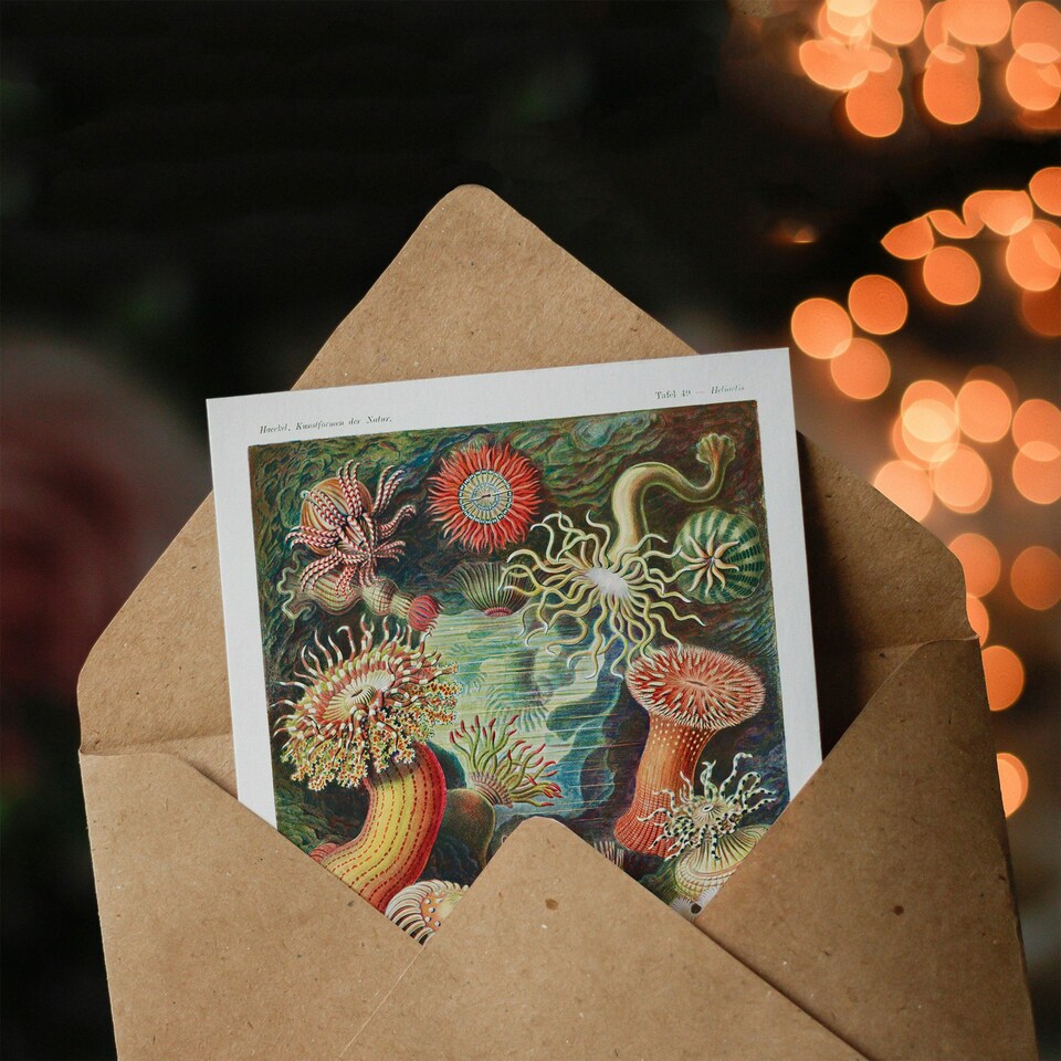 image 1 of Ernst Haeckel Art Card Sea Anemone Marine Landscape