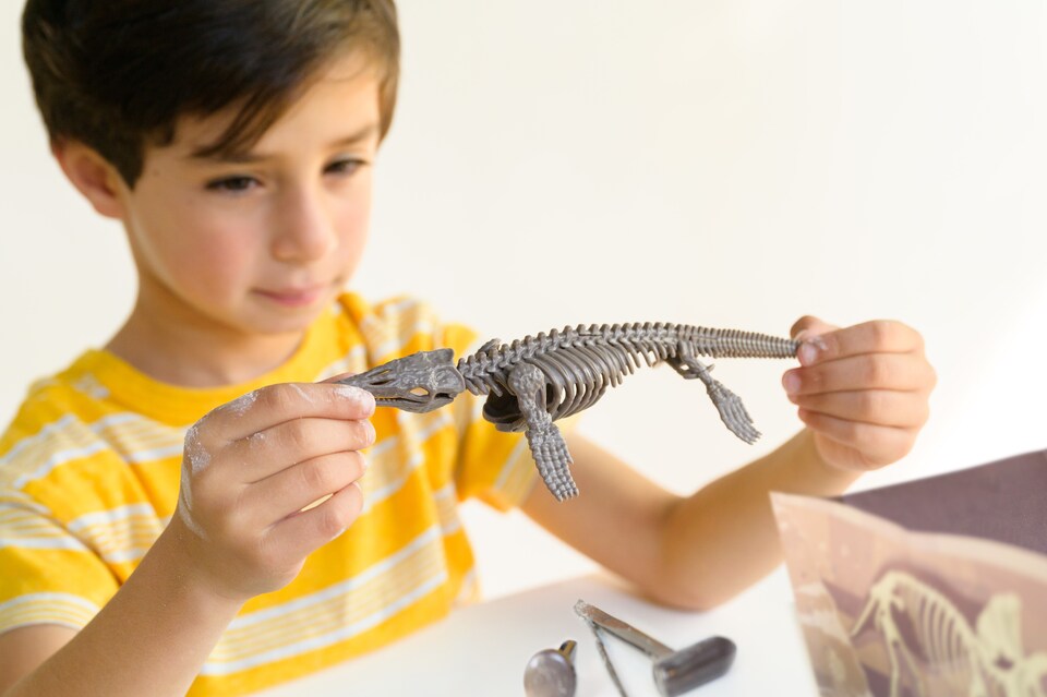 image 1 of KidzLabs - Dig A Mosasaurus Skeleton