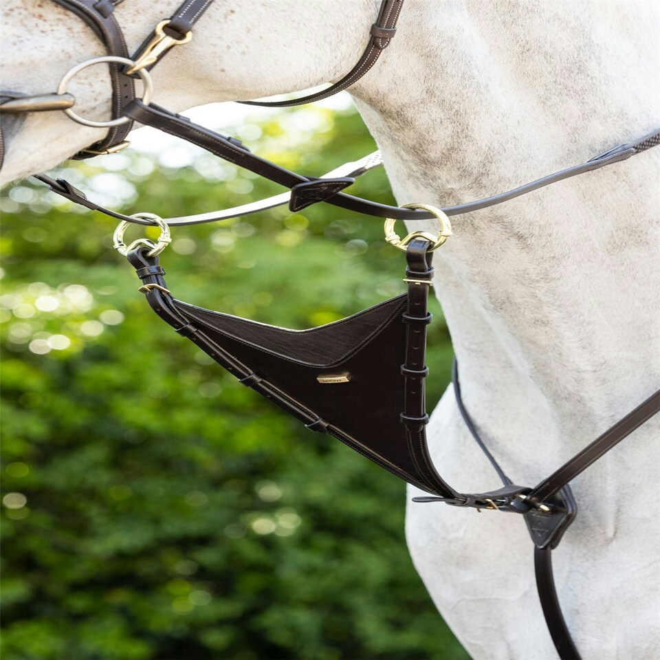 image 1 of LeMieux Bib Martingale Attachment Brown | Cob