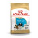 image 6 of Royal Canin Dog Shih Tzu Puppy - 1.5KG