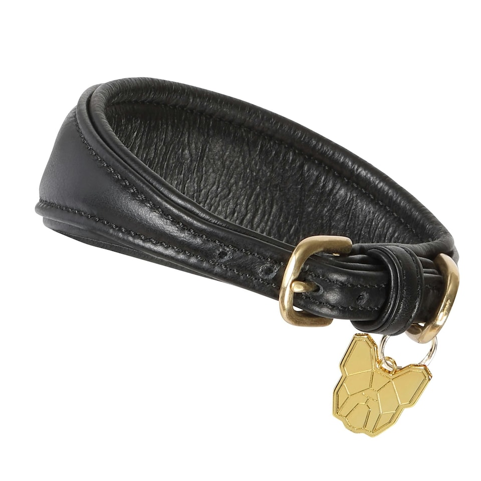 image 1 of Digby & Fox Leather Padded Greyhound Dog Collar - Black - L - Neckline: 35cm-39cm