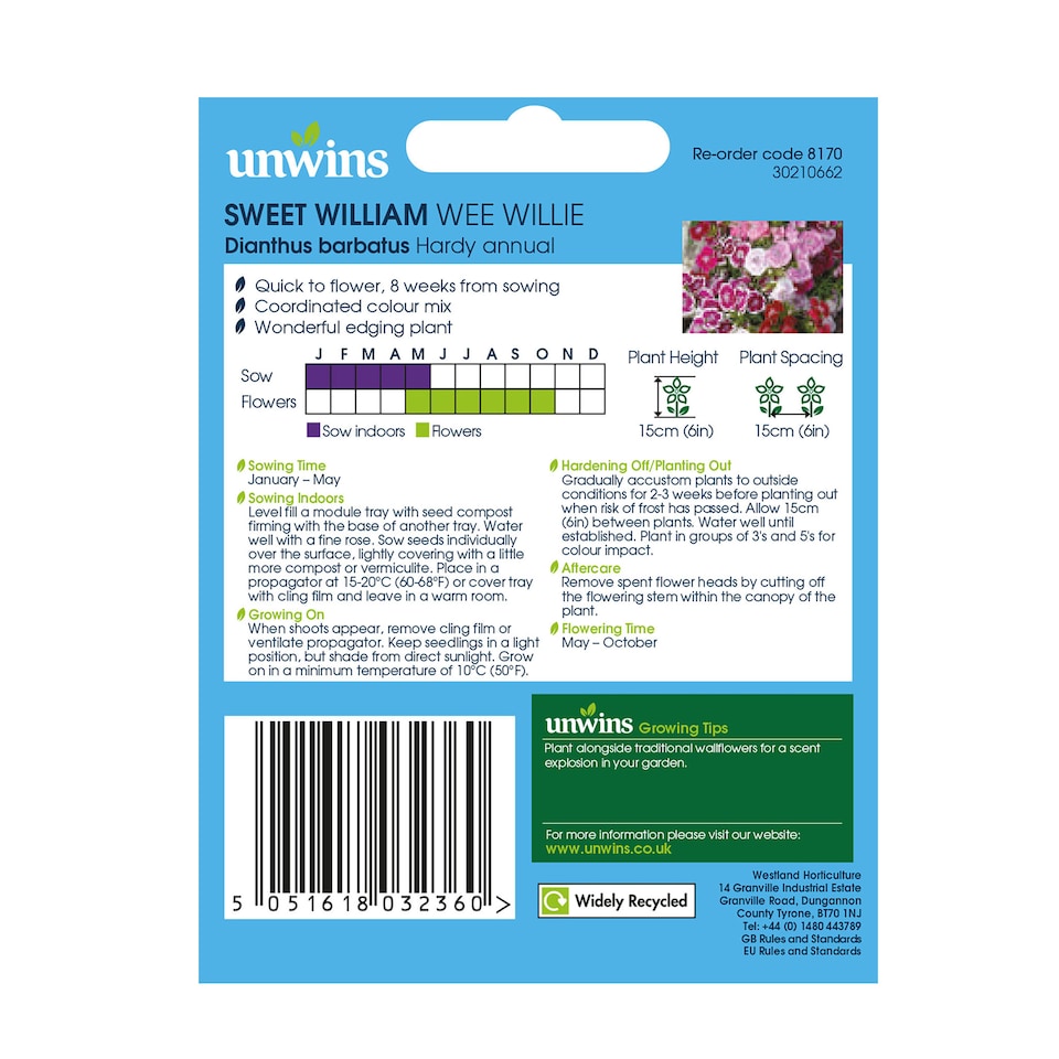 image 1 of Sweet William Wee Willie | Multi | pink, purple scarlet and white | 500 x Seeds | 1