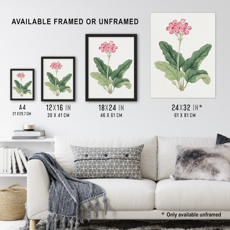 image 1 of Sakura Flower Wall Art Print Vintage Japanese Botanical 12x16"