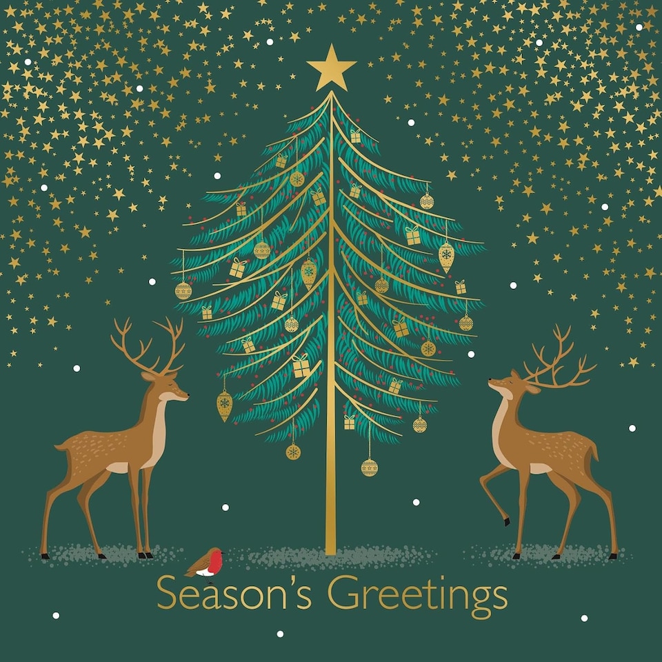 image 1 of Pack of 10 Festive Contemporary Reindeer Design Square Christmas Cards With Envelopes