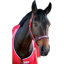 Whitaker Padded Fleece Headcollar - Red/Navy - Pony