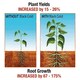 image 5 of Marshalls Garden Bio-Gro Black Gold seaweed foliar feed 400g | Brown | Tub | 1