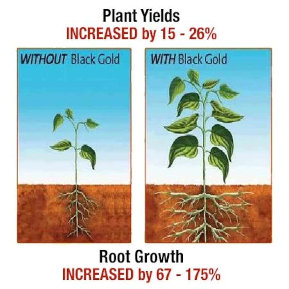 image 1 of Marshalls Garden Bio-Gro Black Gold seaweed foliar feed 400g | Brown | Tub | 1