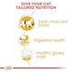 image 7 of ROYAL CANIN® Siamese Adult Dry Cat Food N/A | Size: 2kg
Breed: Adult