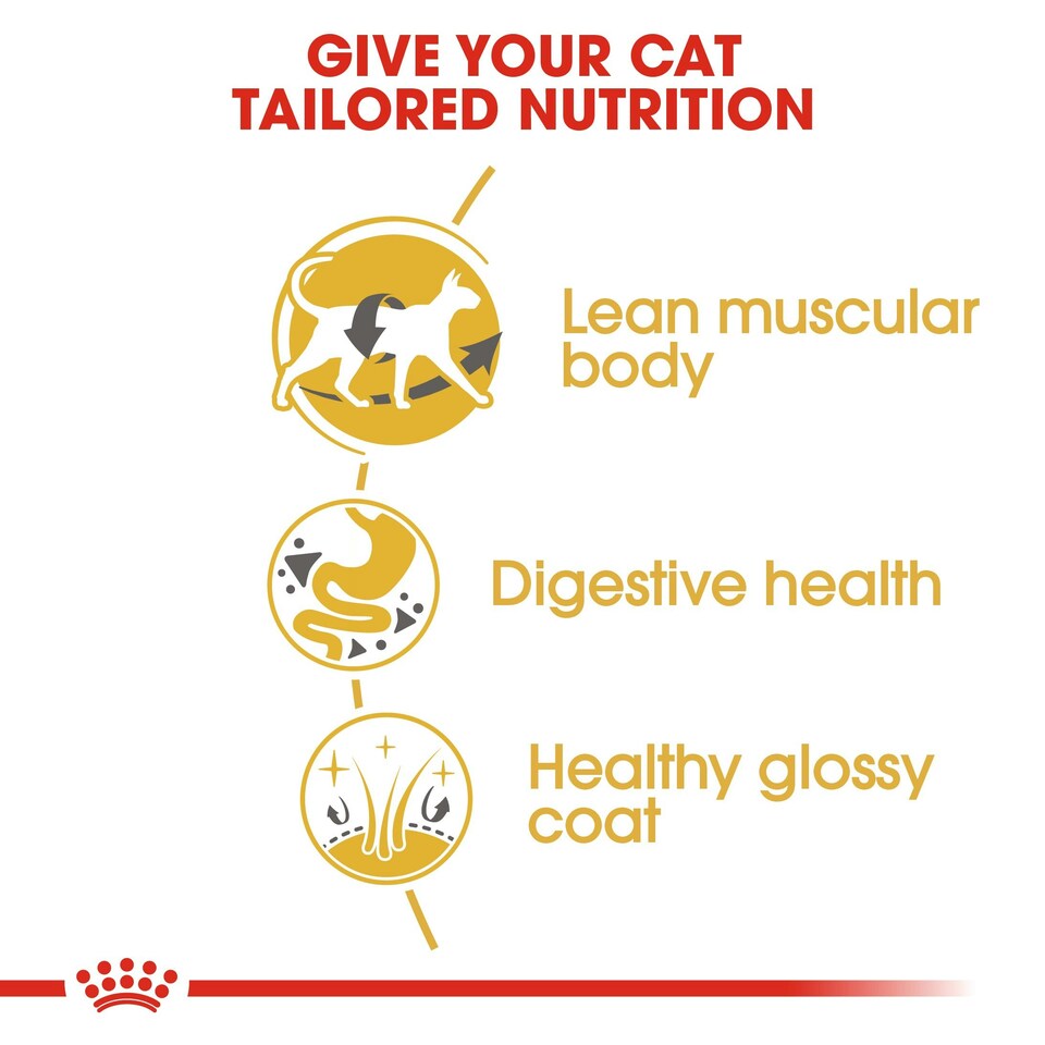 image 1 of ROYAL CANIN® Siamese Adult Dry Cat Food N/A | Size: 2kg
Breed: Adult