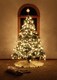 image 3 of Warm White with Black Cable Connectable indoor outdoor Waterproof LED String Lights (200 LED's (20m), Battery Box)