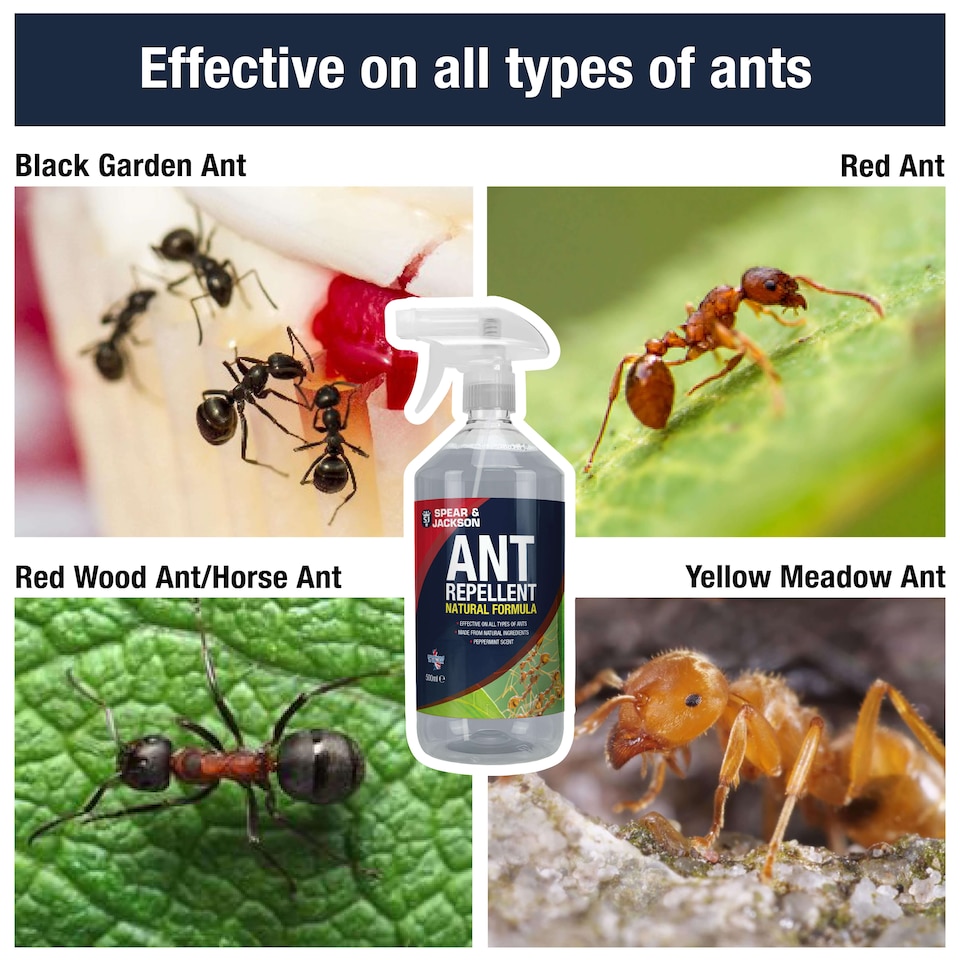 image 1 of Spear & Jackson Ant Repellent - Peppermint Scent 2 x 500ml