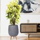 image 9 of Honeycomb Style Dark Grey Planter with Legs, Round Indoor Plant Pot Stand for Indoor Plants by Idealist Lite D30 H43 cm, 19L