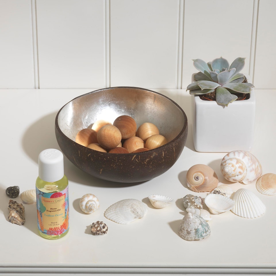 image 1 of Hassett Green London - Endless Ocean - Scented Wooden Balls Pack of 12 plus 30ml Bottle of Home Fragrance Oil for Refreshing - Alternative to Pot Pourri, Diffusers, Sachets and Drawer Liners
