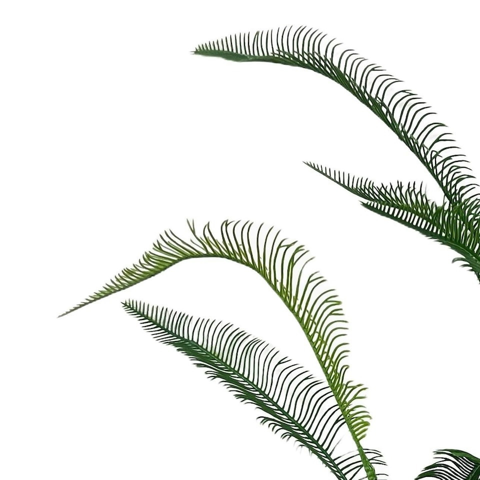 image 1 of Pack of 6 x 100cm Artificial Fern Spray