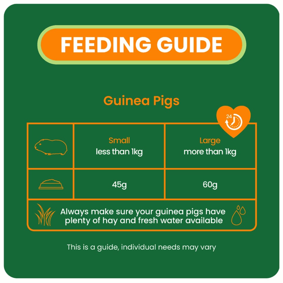 image 1 of Burgess Excel Adult Guinea Pig Nuggets With Mint - 3KG