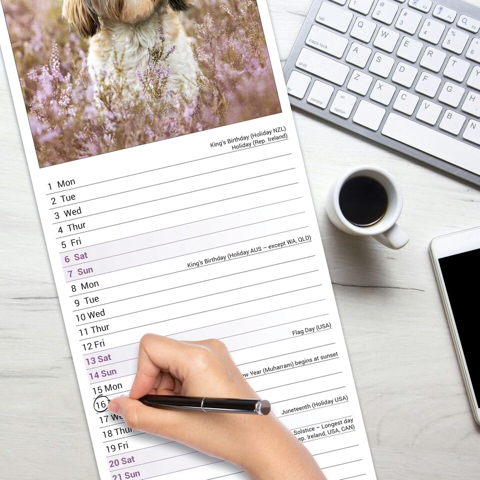 image 1 of Shih Tzu Slim 2026 Calendar | Slimline Wall Calendar | Dog Breed Gift | Plastic Free Packaging | by Avonside Publishing [Calendar] Avonside Publishing Ltd