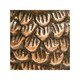 image 6 of Cast Aluminium Owl Candle Holder - Aluminium - L8.5 x W7.5 x H14.5 cm - Antique Copper | Brown | 1