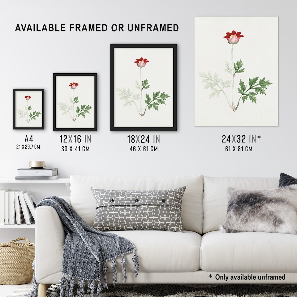 image 1 of Red Bloom Flower Vintage Japan Wall Art Print Japanese Botanical 12x16"