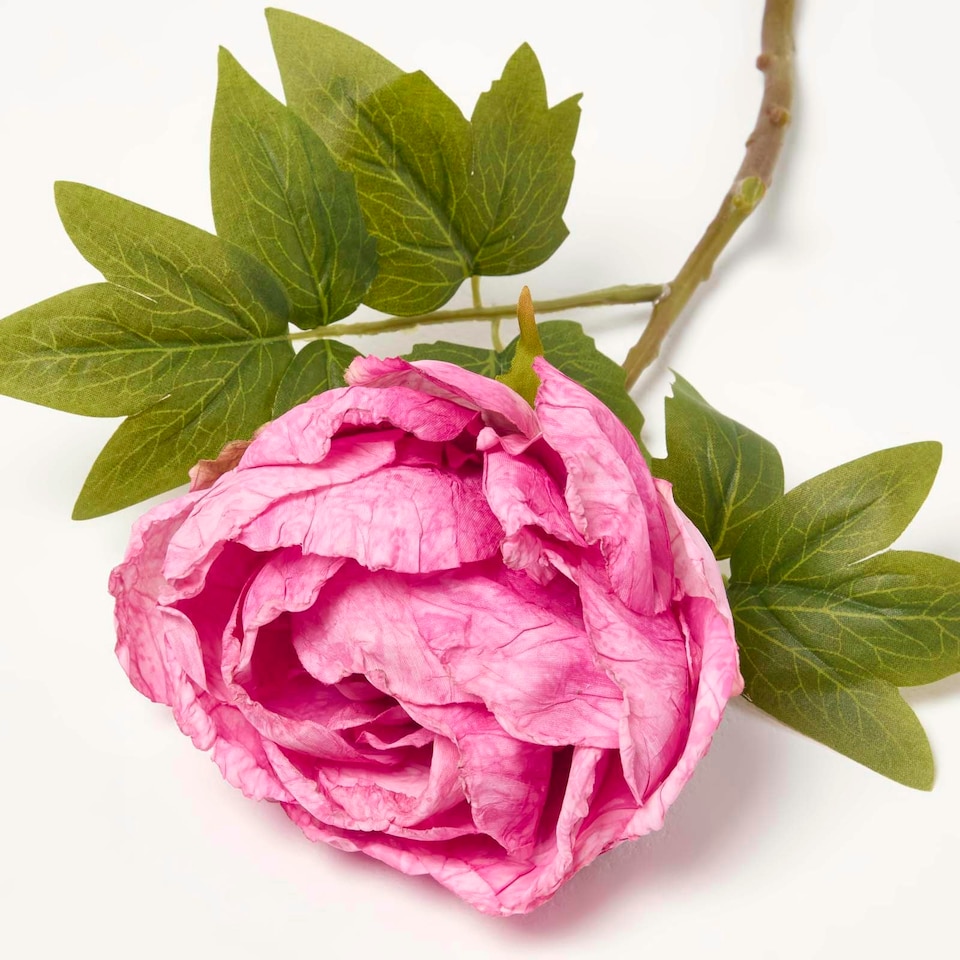 image 1 of Homescapes Artificial Stem of Dried Pink Peony Flowers, 48 cm
