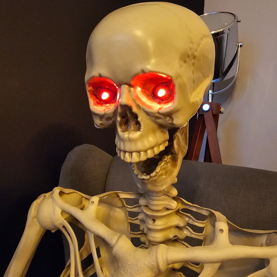 image 1 of Pack of 4 5ft (150cm) Posable Full Body Halloween LED Skeleton Decoration with Movable Joints and LED Eyes