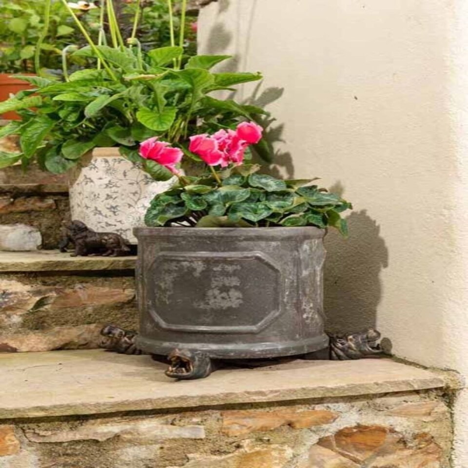 image 1 of Hippo Plant Pot Feet - Set of 3 | Bronze