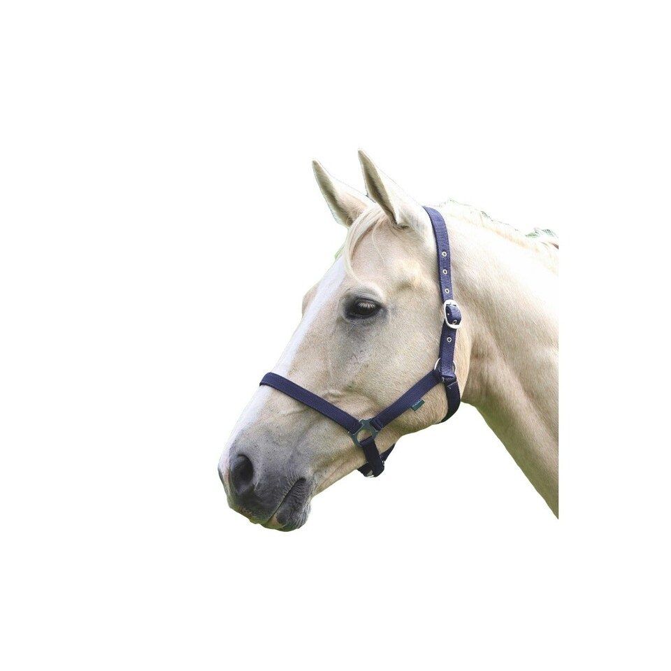 Wessex Horse Headcollar - Navy - Small Pony