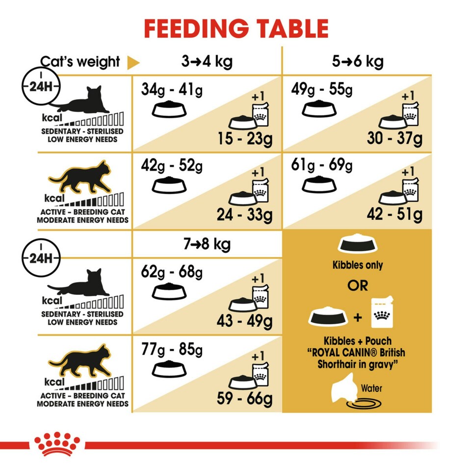 image 1 of Royal Canin Cat British Shorthair Adult 10KG