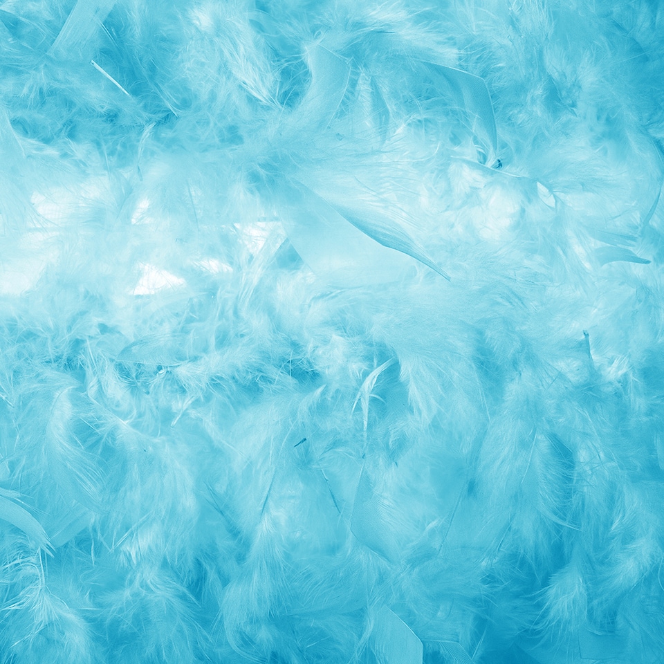 image 1 of Eye-Catching and Modern Small Teal Feather Decorated Pendant Lighting Shade | Blue