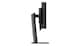image 6 of Lenovo ThinkVision P49w-30, 124.5 cm (49 inches), 5120 x 1440 pixels, DQHD, LED, 6 ms, Black | Black | 119.8 cm