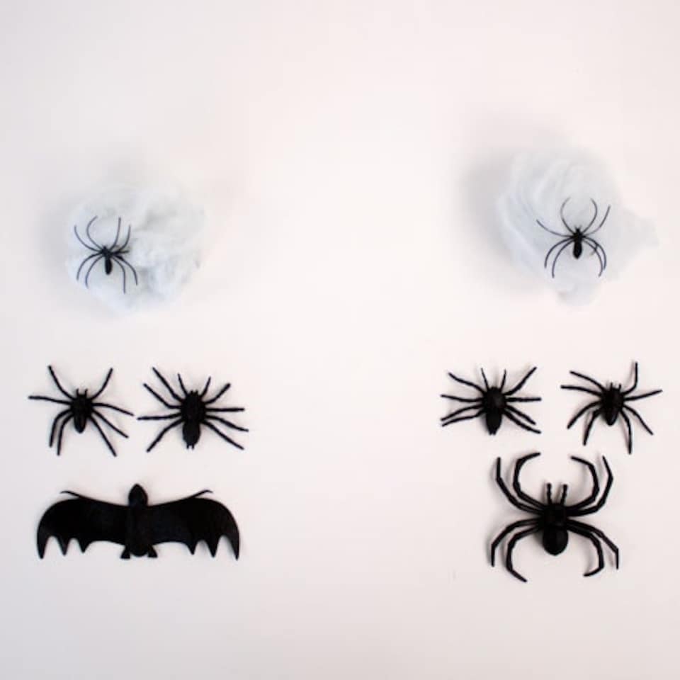 image 1 of Assorted Halloween Creatures with Cobweb Set