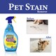 image 4 of 1001 Pet Stain Remover Spray 500ml Fast Acting Carpet and Upholstery Cleaner for Dog Cat Urine Vomit Faeces Mud Pet Stains