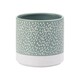 image 1 of English Tableware Company Artisan Flower Small Planter